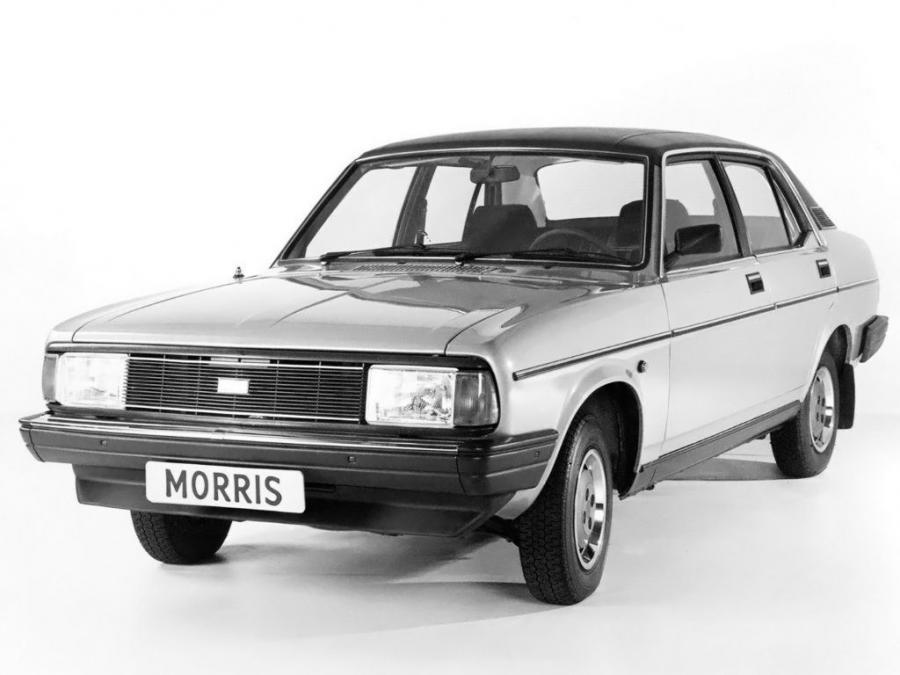  Morris Ital 1980 года  (фото 4 из 6)